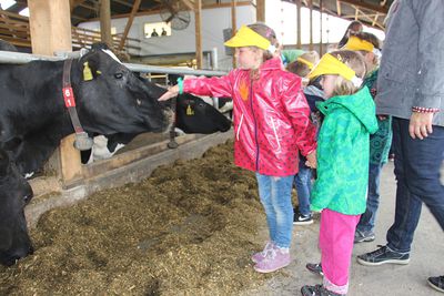 Kindergartenkinder nehmen Tuchfühlung zu Bauernhoftieren auf